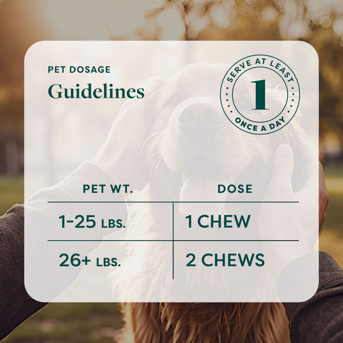 Multifunctional Dog Chews